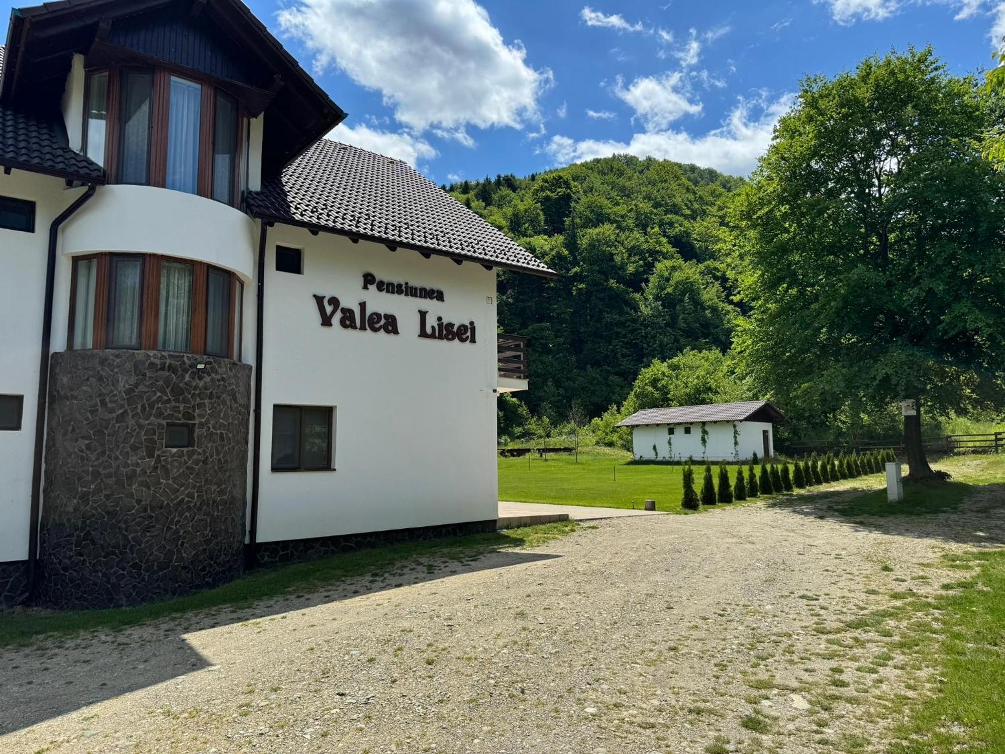 Pensiunea Valea Lisei Lisa Dış mekan fotoğraf